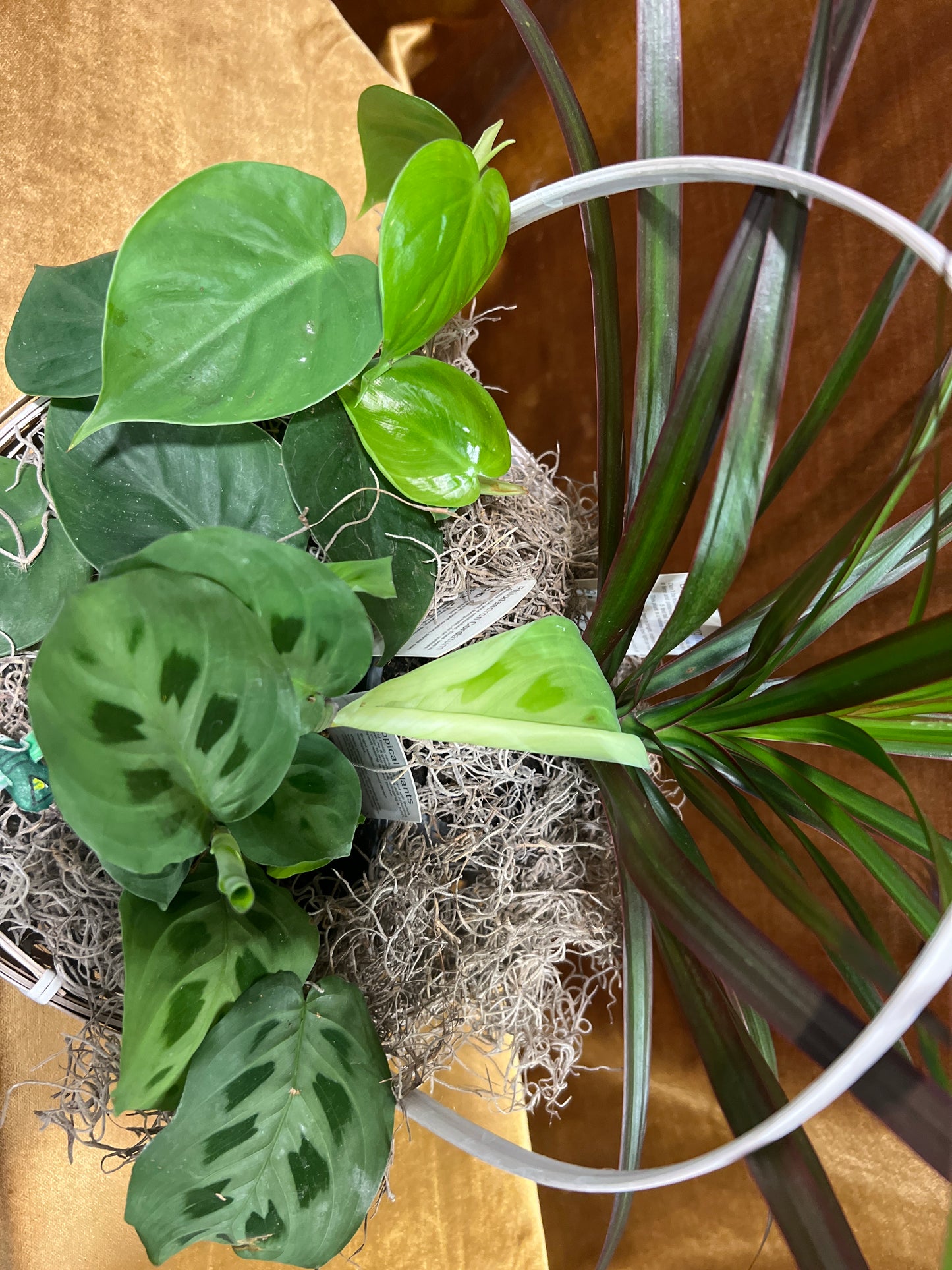 Green Harmony Basket