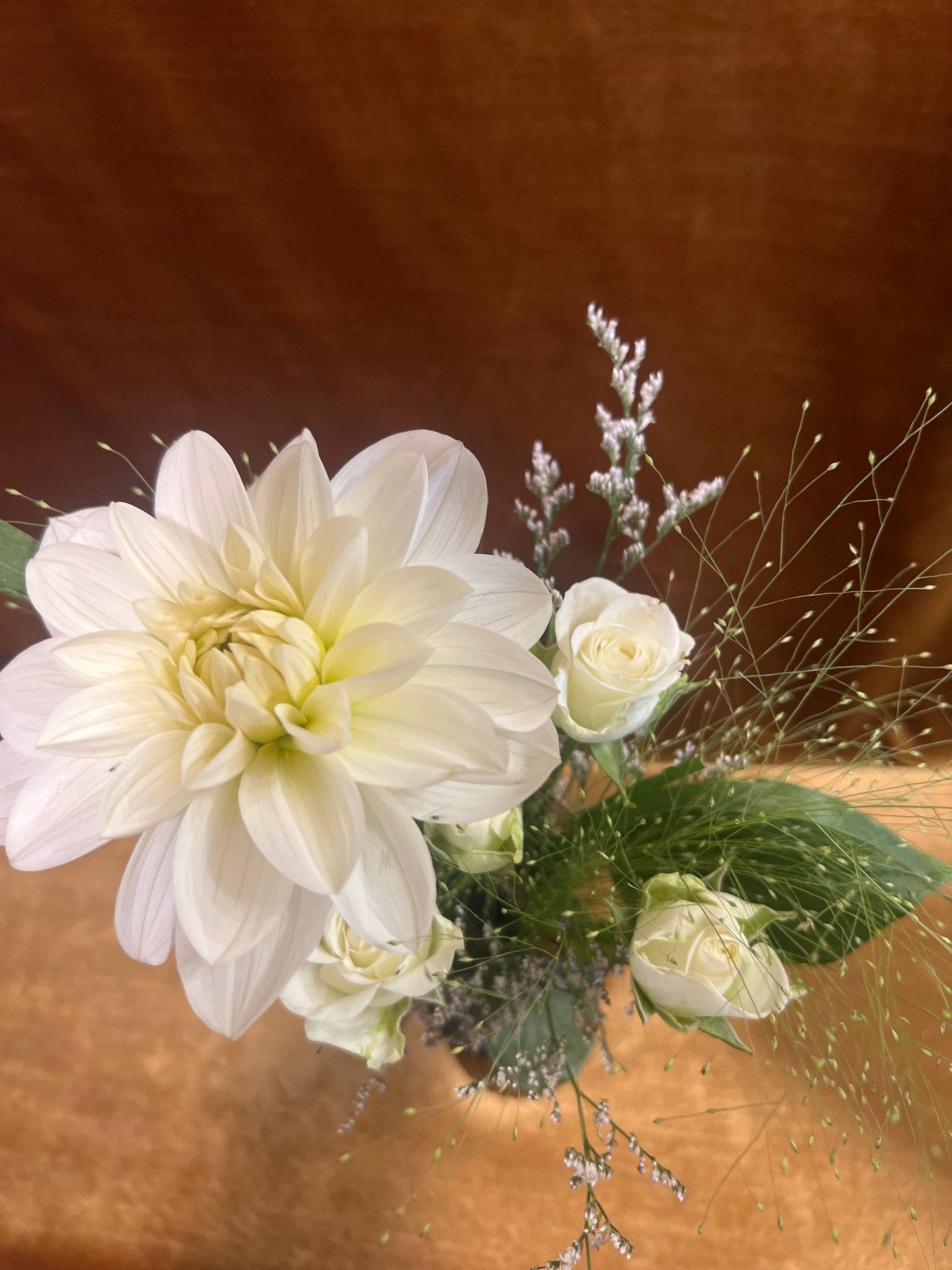 Rosey Dahlia