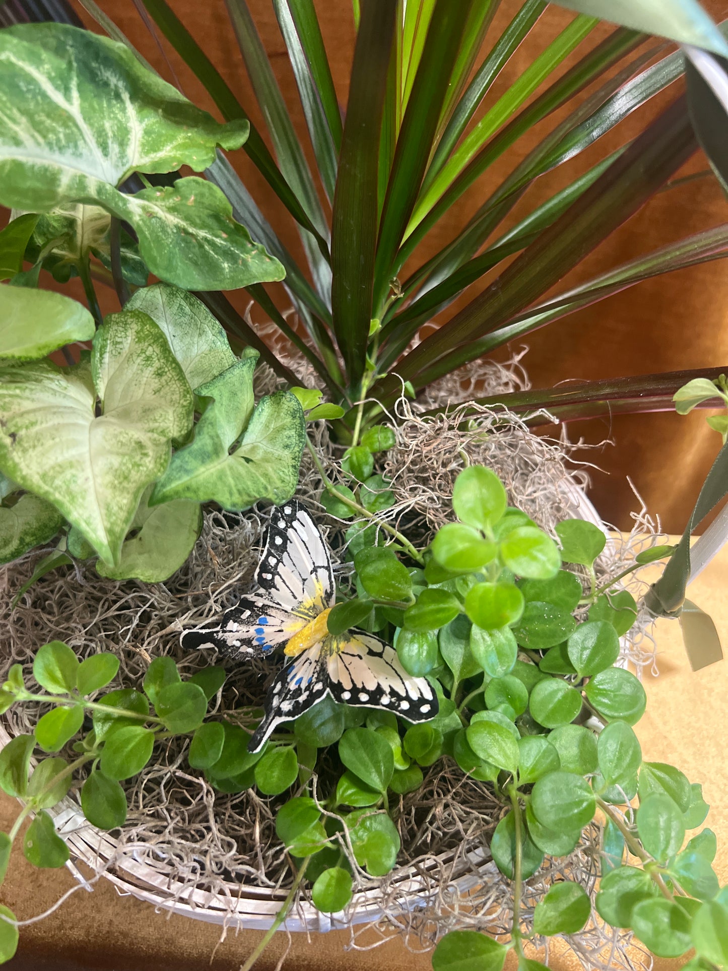 Sweet Garden