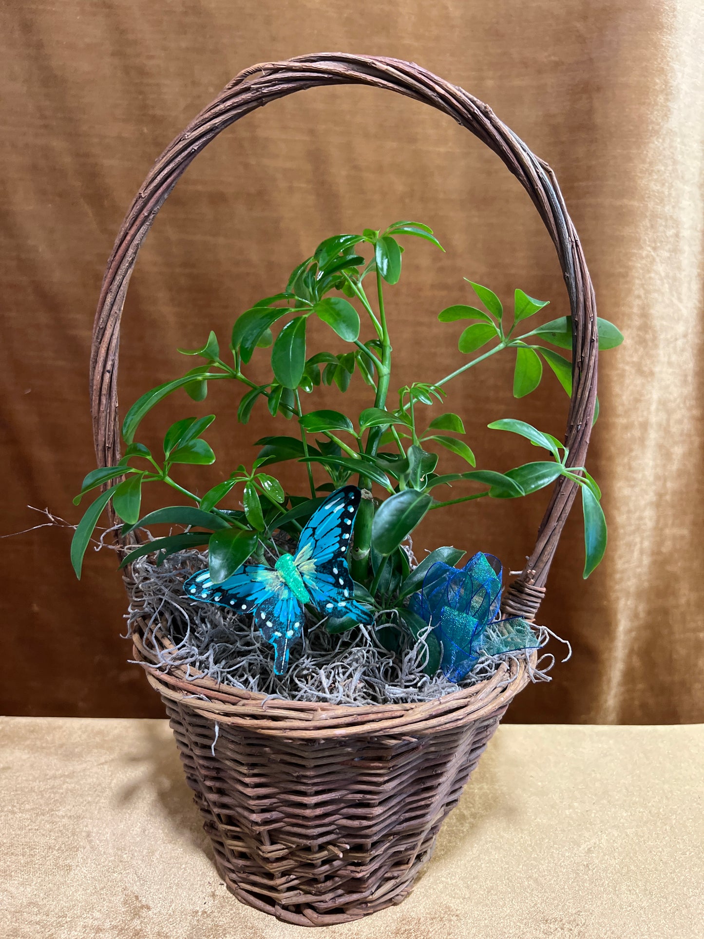 Plant Basket