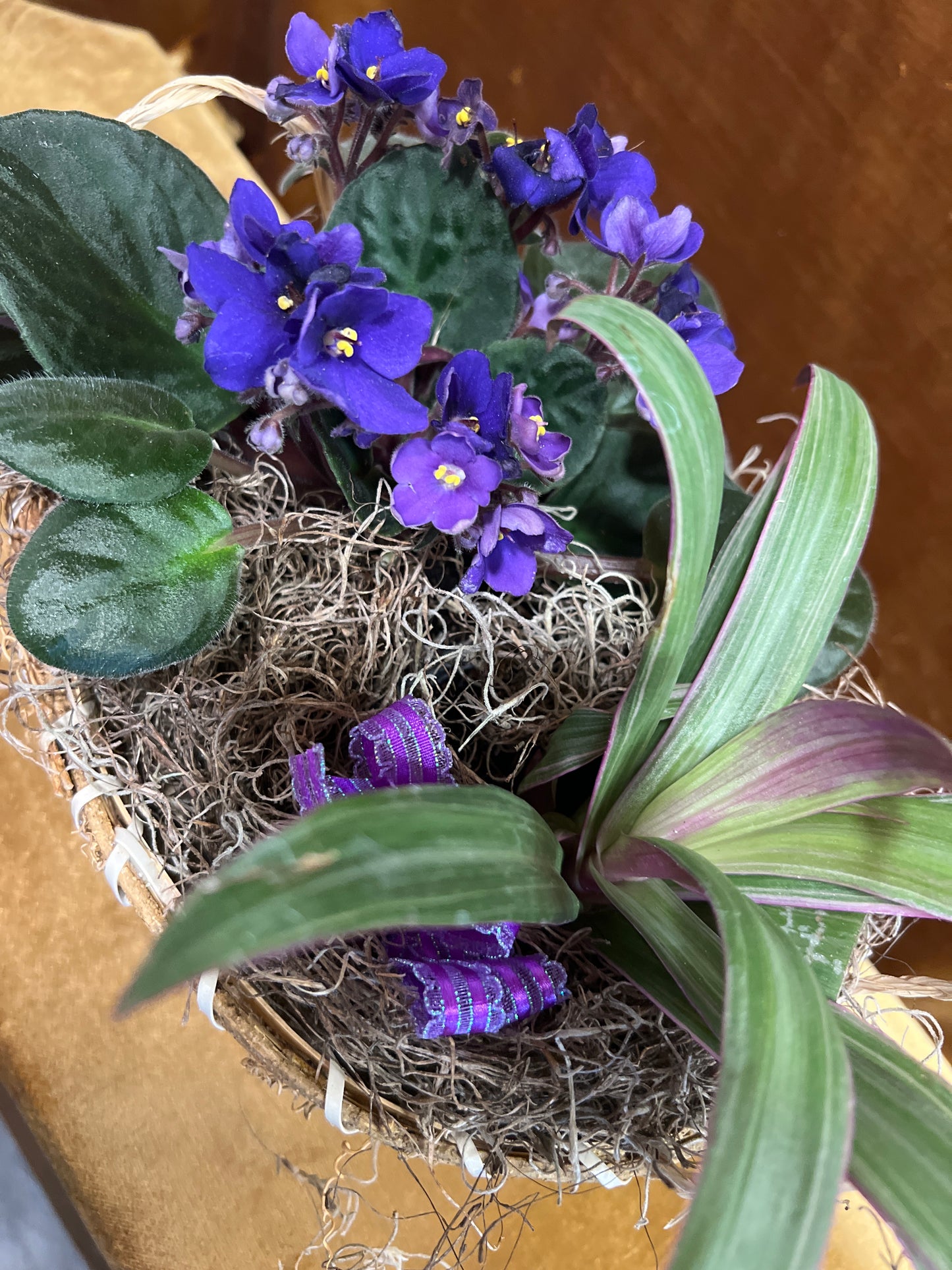 Purple Planter