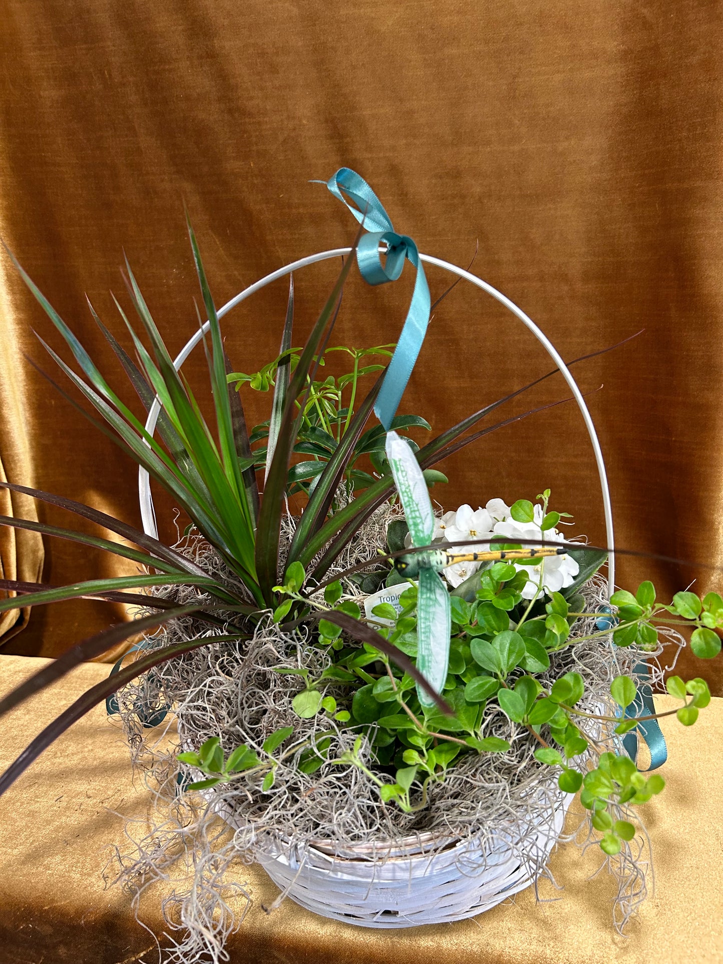 Garden of Synchronicity