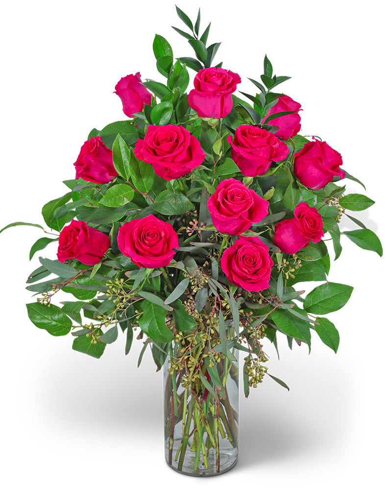One Dozen Hot Pink Roses