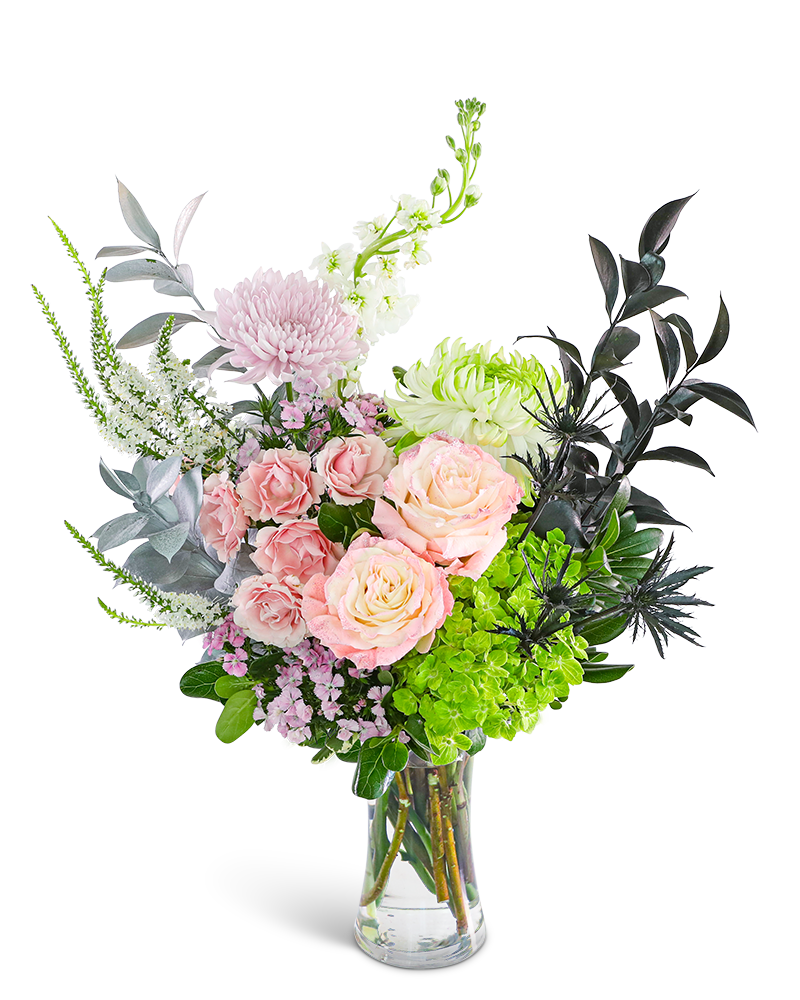 Popular and Powerful