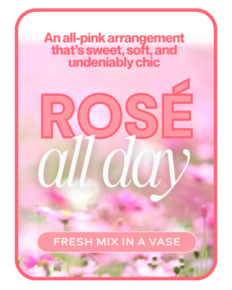 Rosé All Day