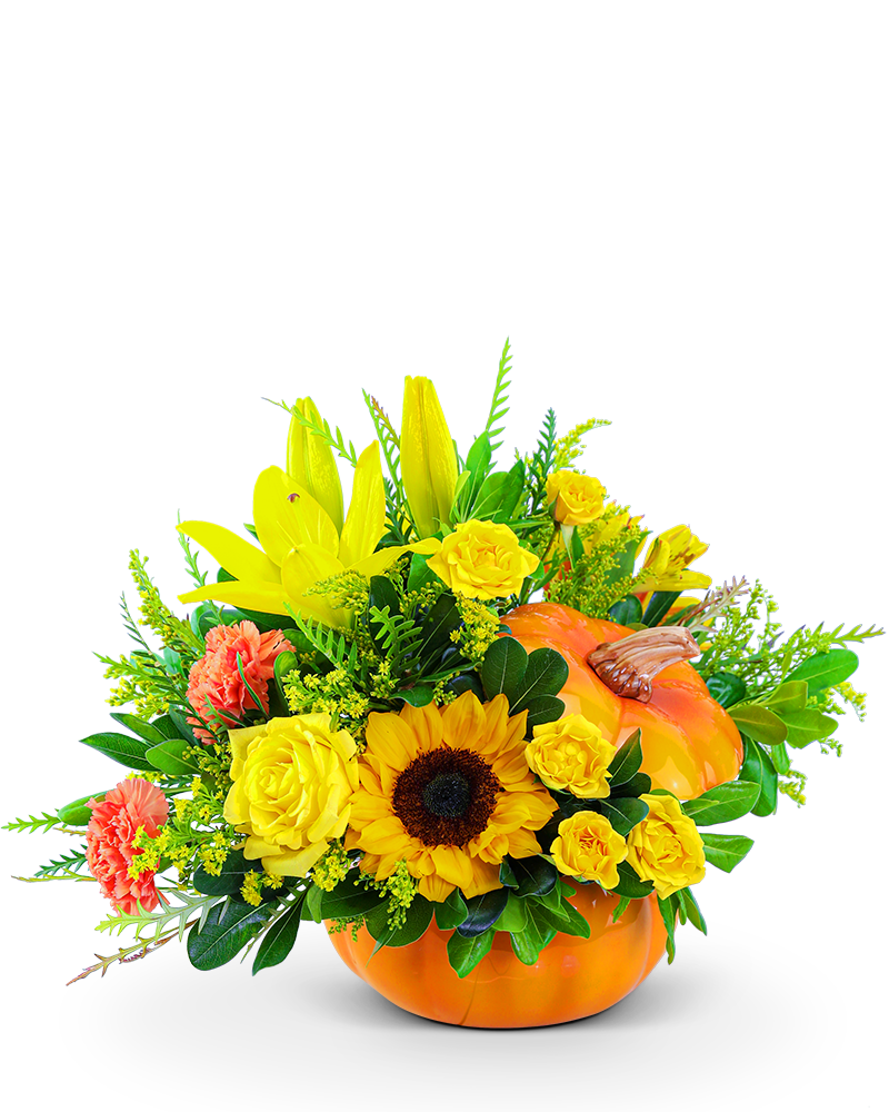 Seasonal Sunkiss Pumpkin