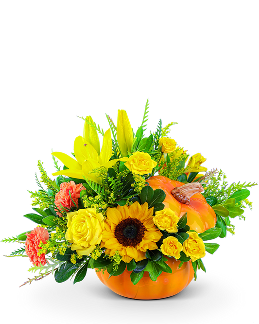 Seasonal Sunkiss Pumpkin