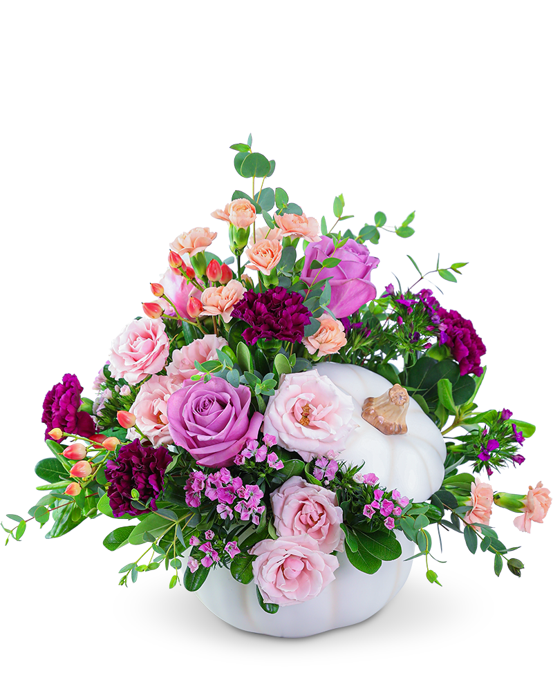 Artistic Blush in White Pumpkin
