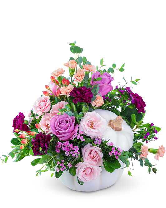 Artistic Blush in White Pumpkin
