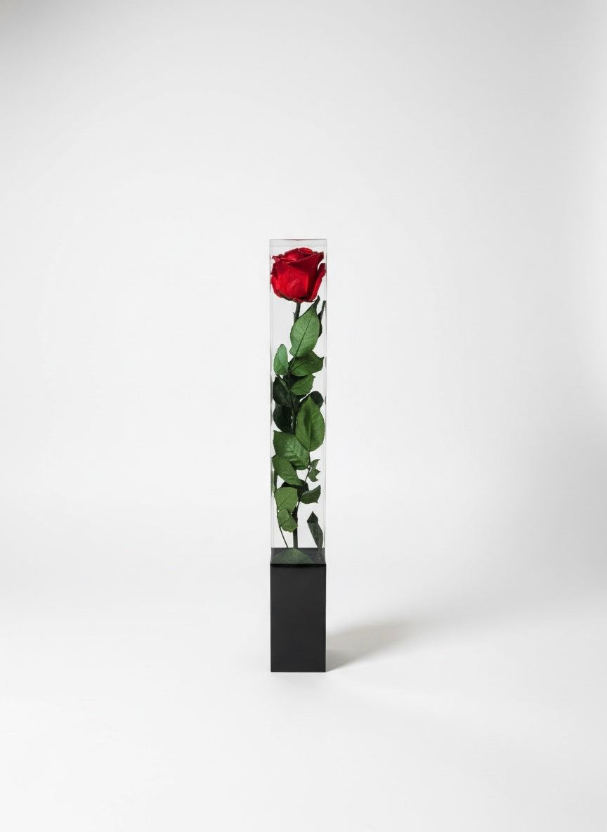 Forever Rose