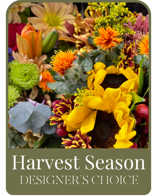 Harvest Season Designer's Choice