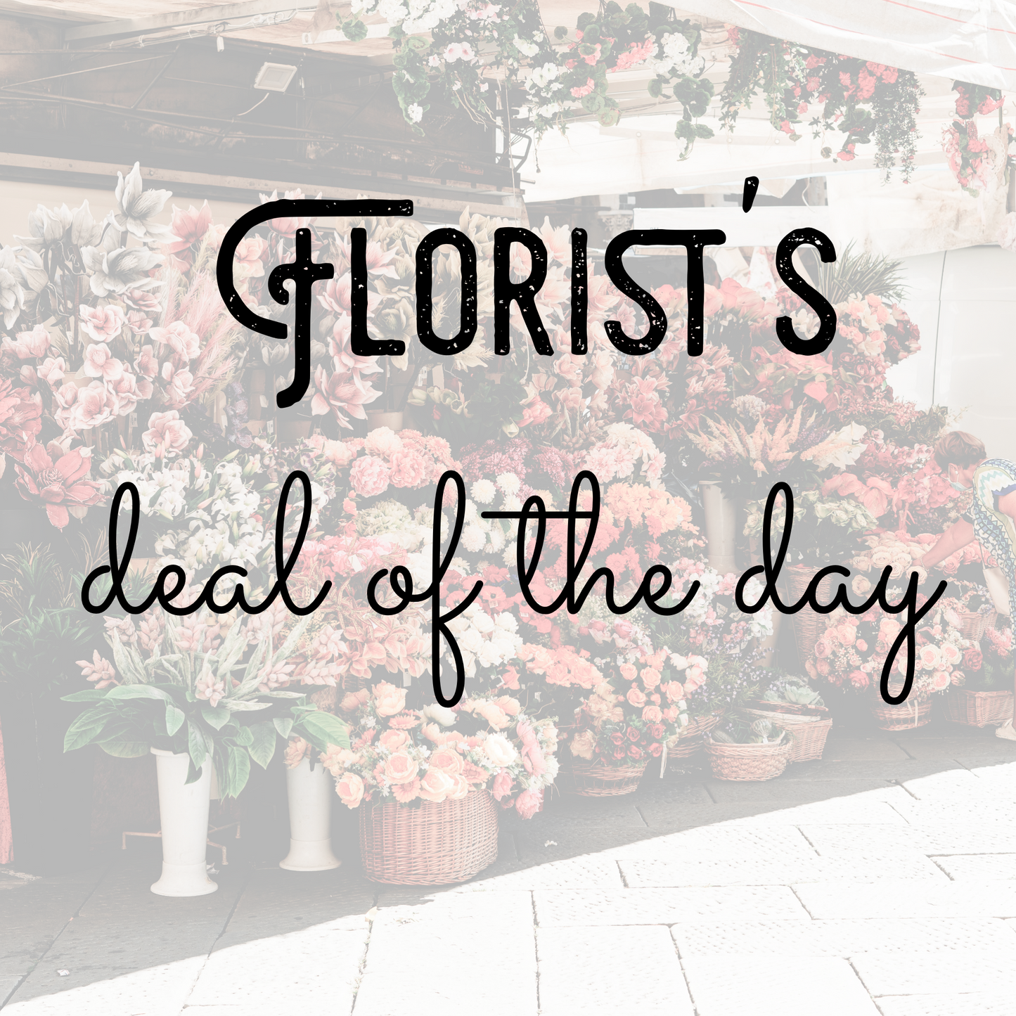 Florist's Deal of the Day