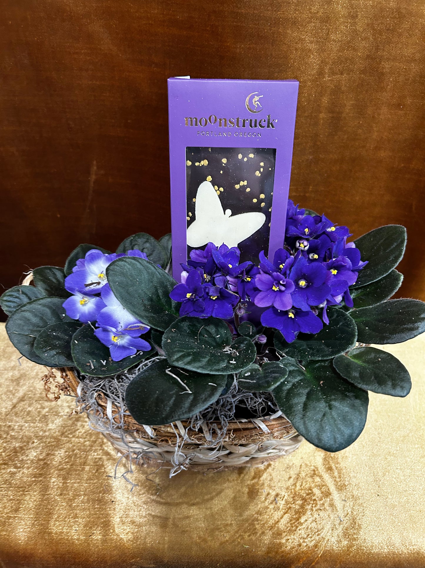 Butterfly Violets