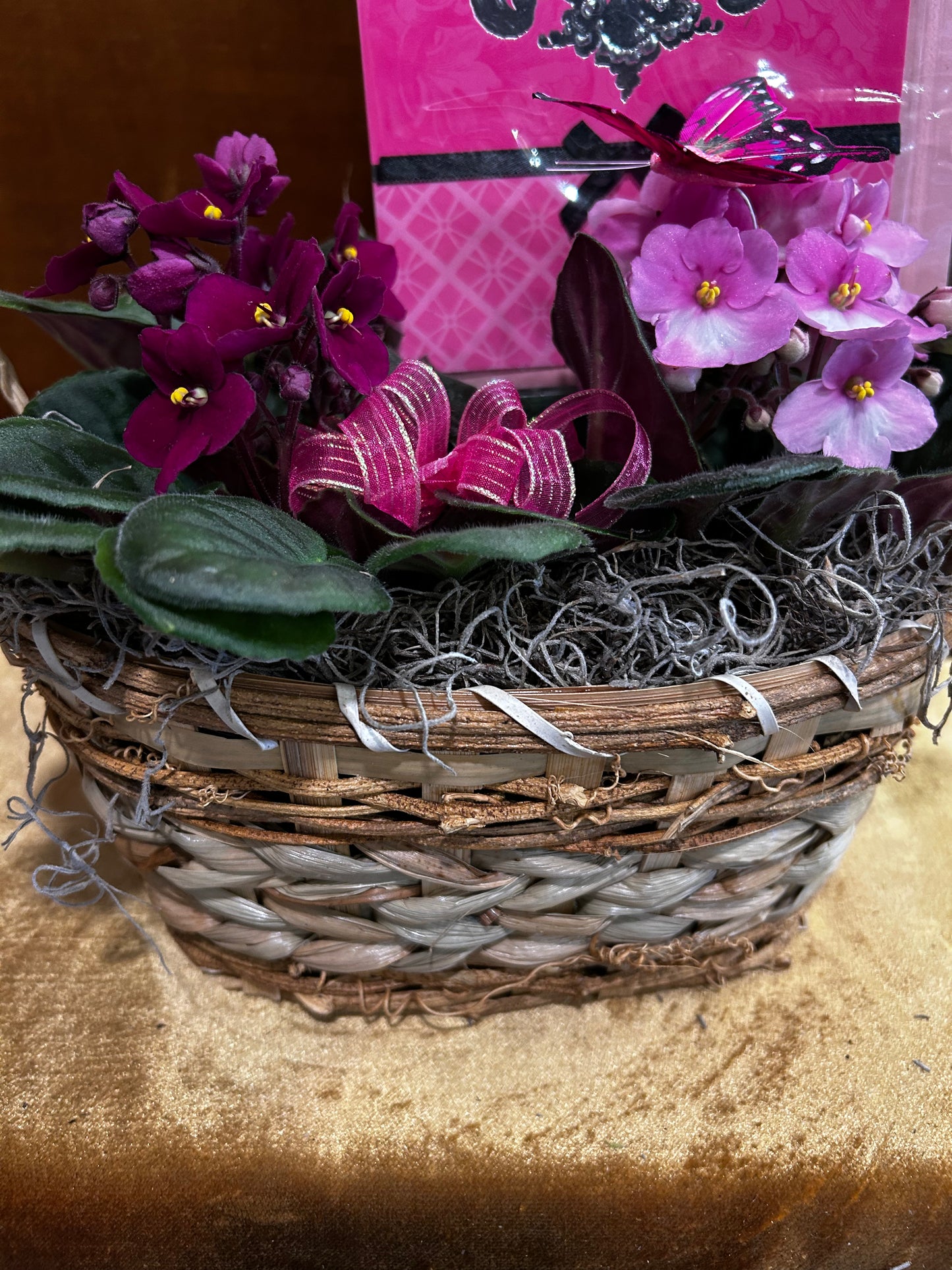 Lovely Violets