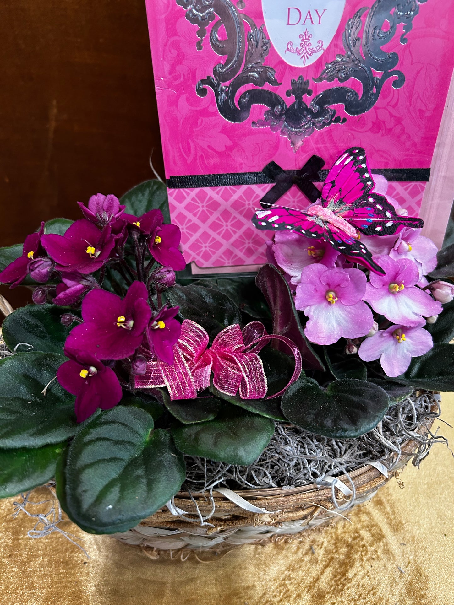 Lovely Violets