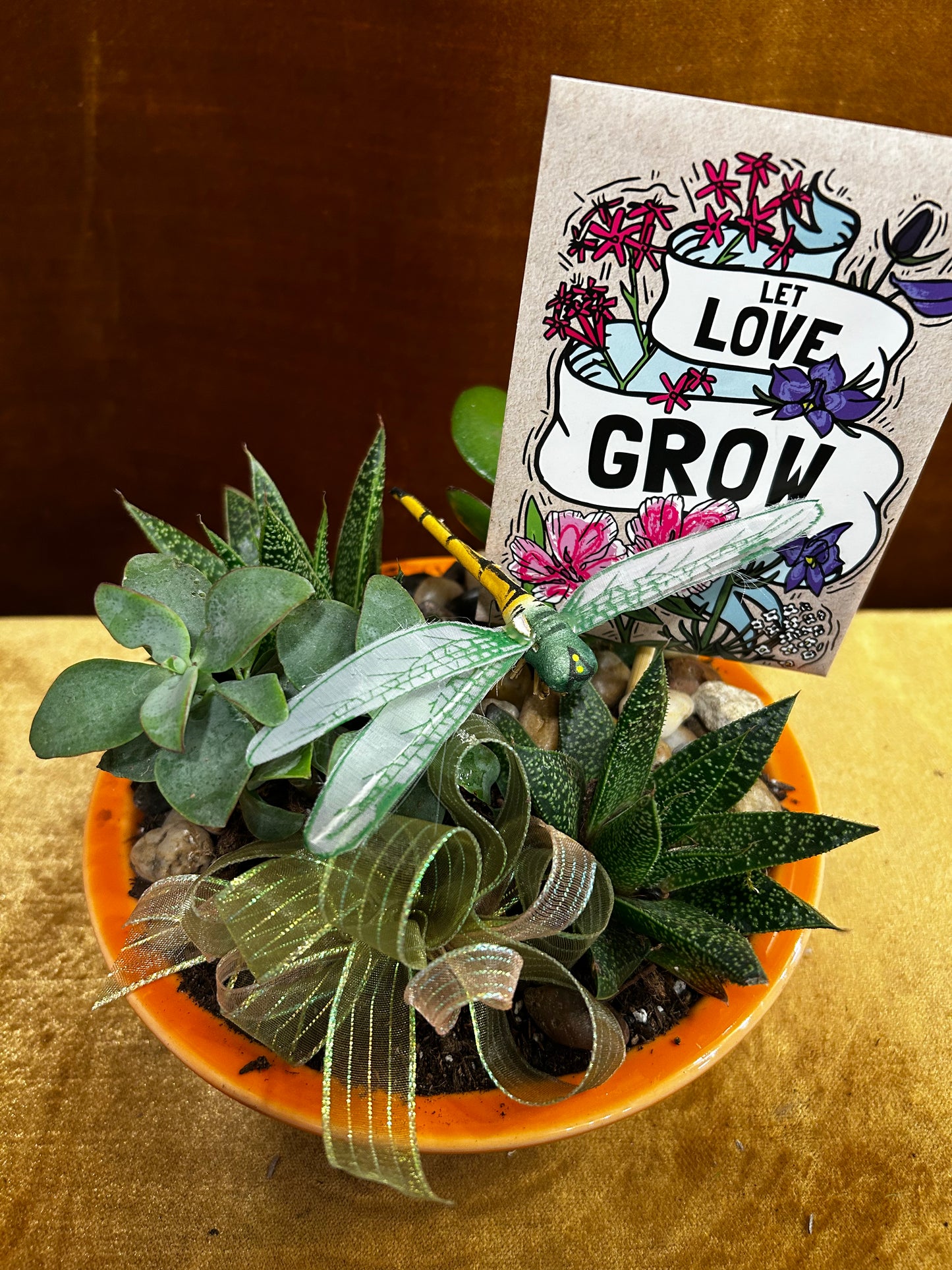 Succulents and Dragonflies