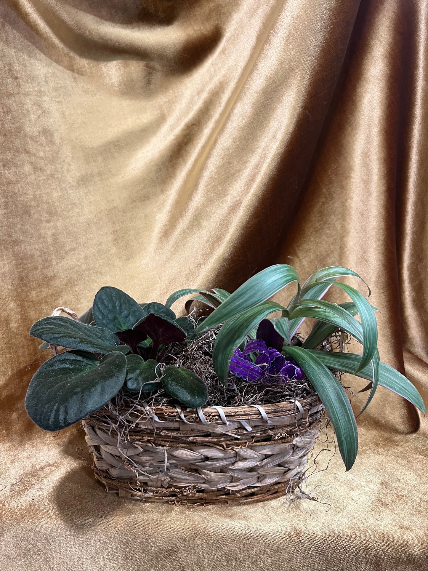 Purple Planter
