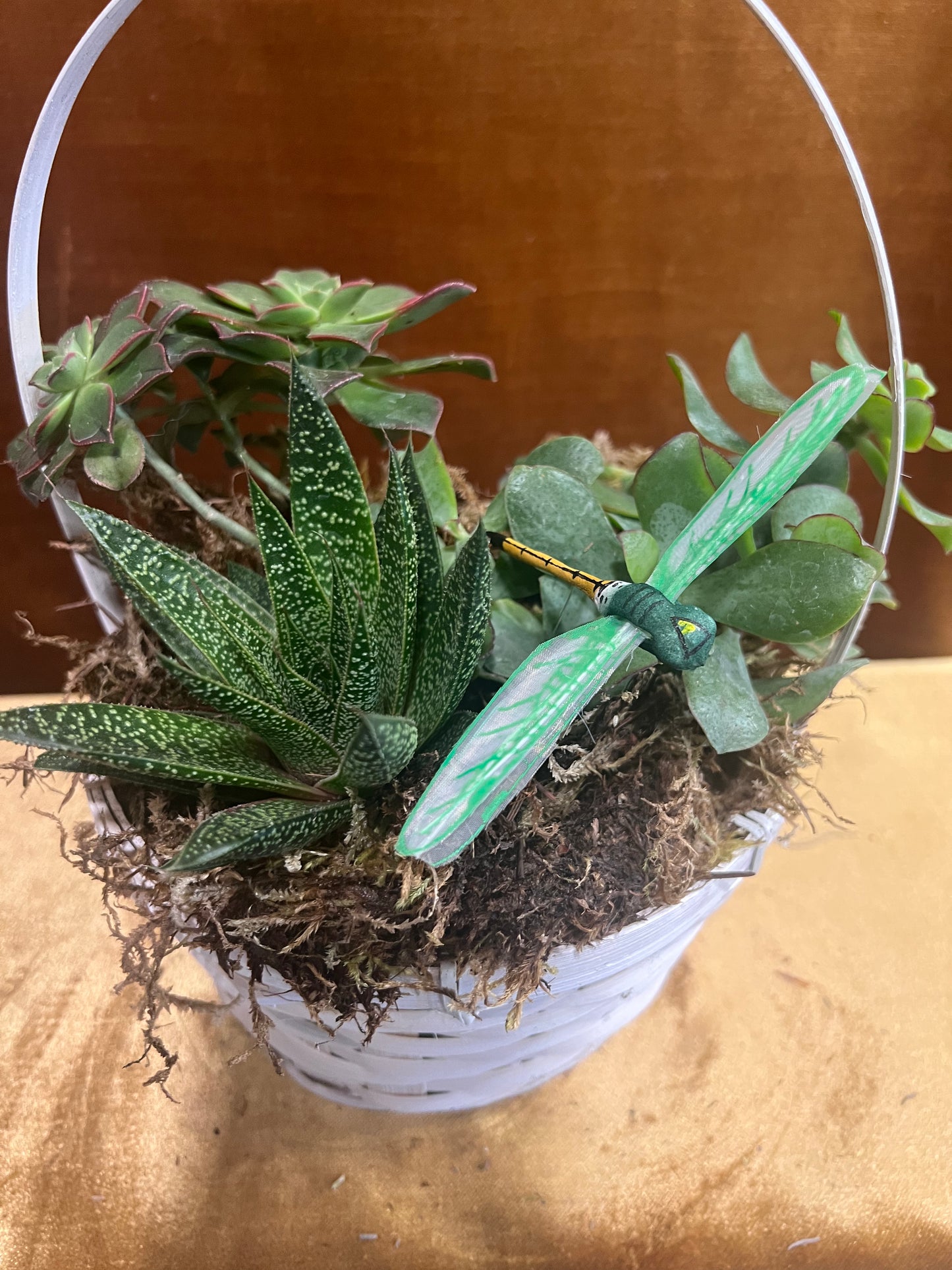 Succulent Basket