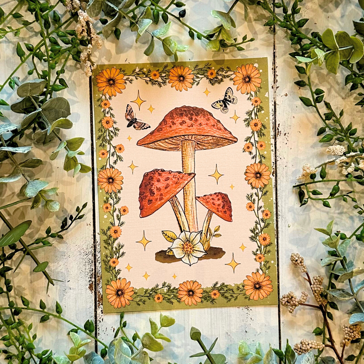 Red Mushrooms Blank Greeting Card
