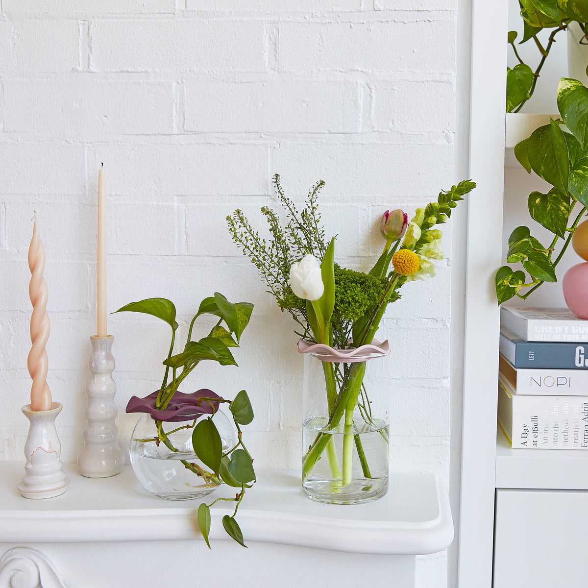 Modern Sprout - Botanical Keepers - Set of 2