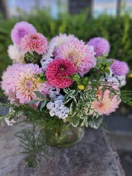 Delightful Dahlias