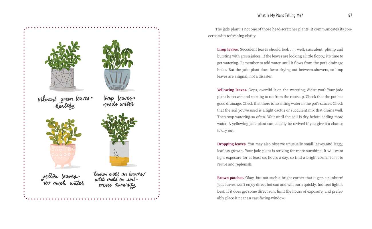 What Is My Plant Telling Me? Book