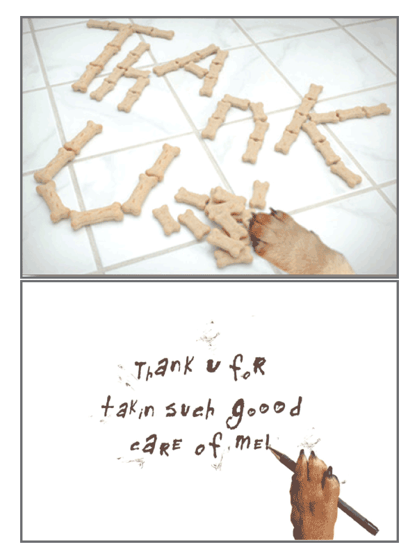 Pet Sitter Greeting Card