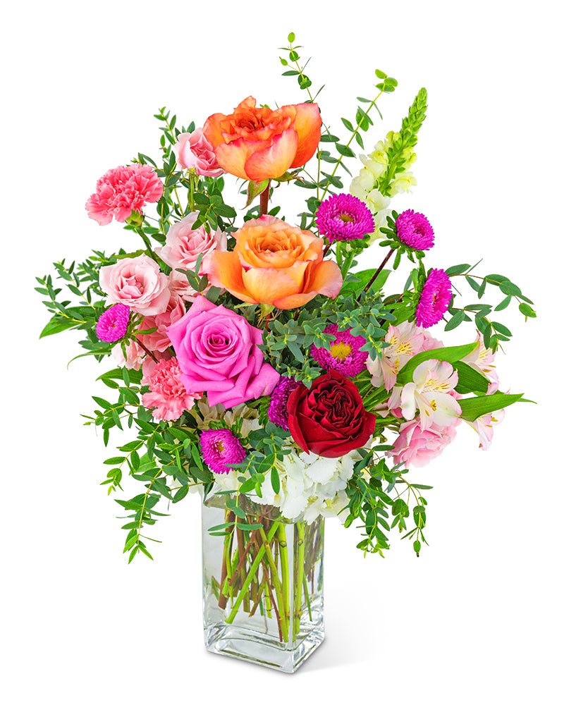 Dreaming of Roses