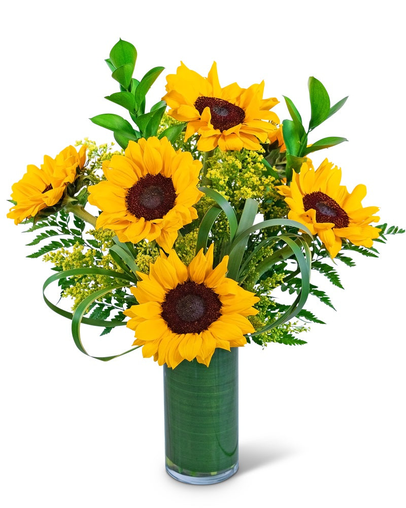 Ray Of Golden Sunflowers
