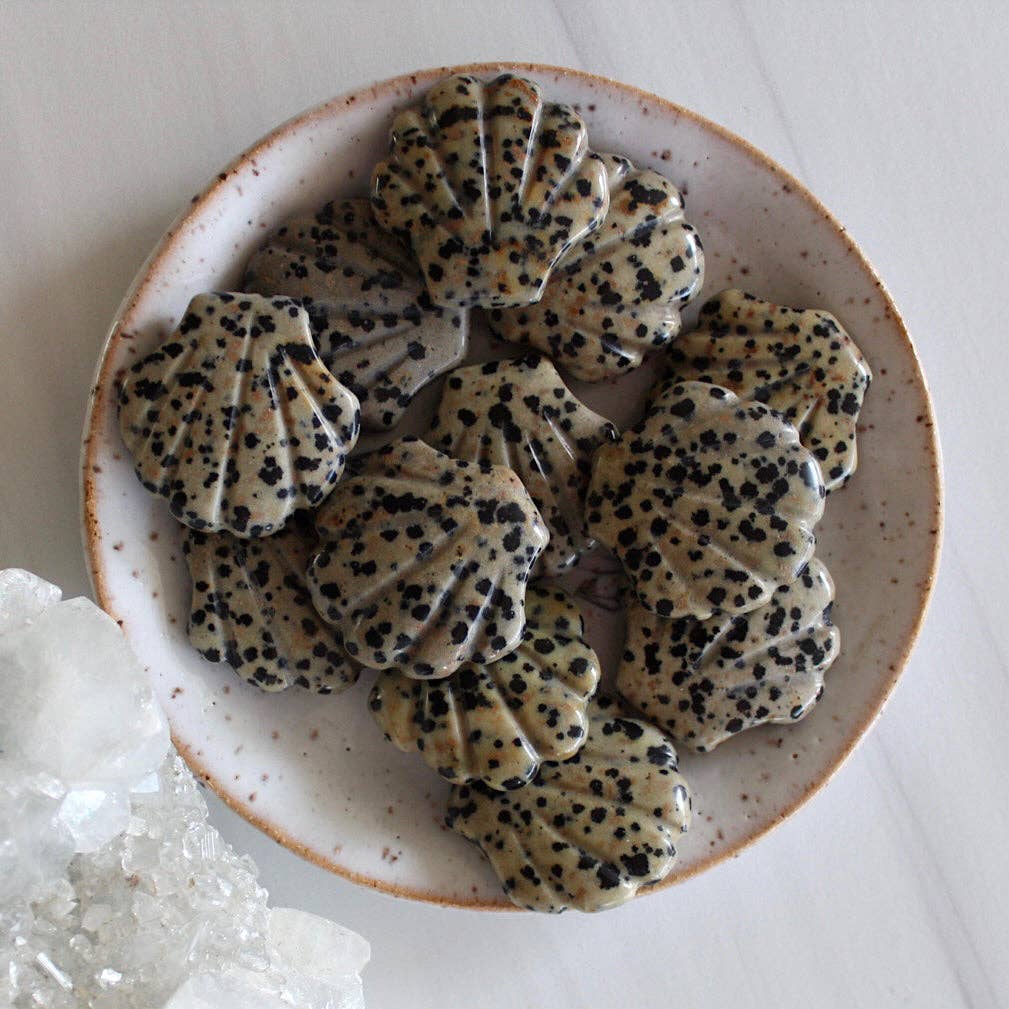 Dalmatian Jasper Seashell Stone