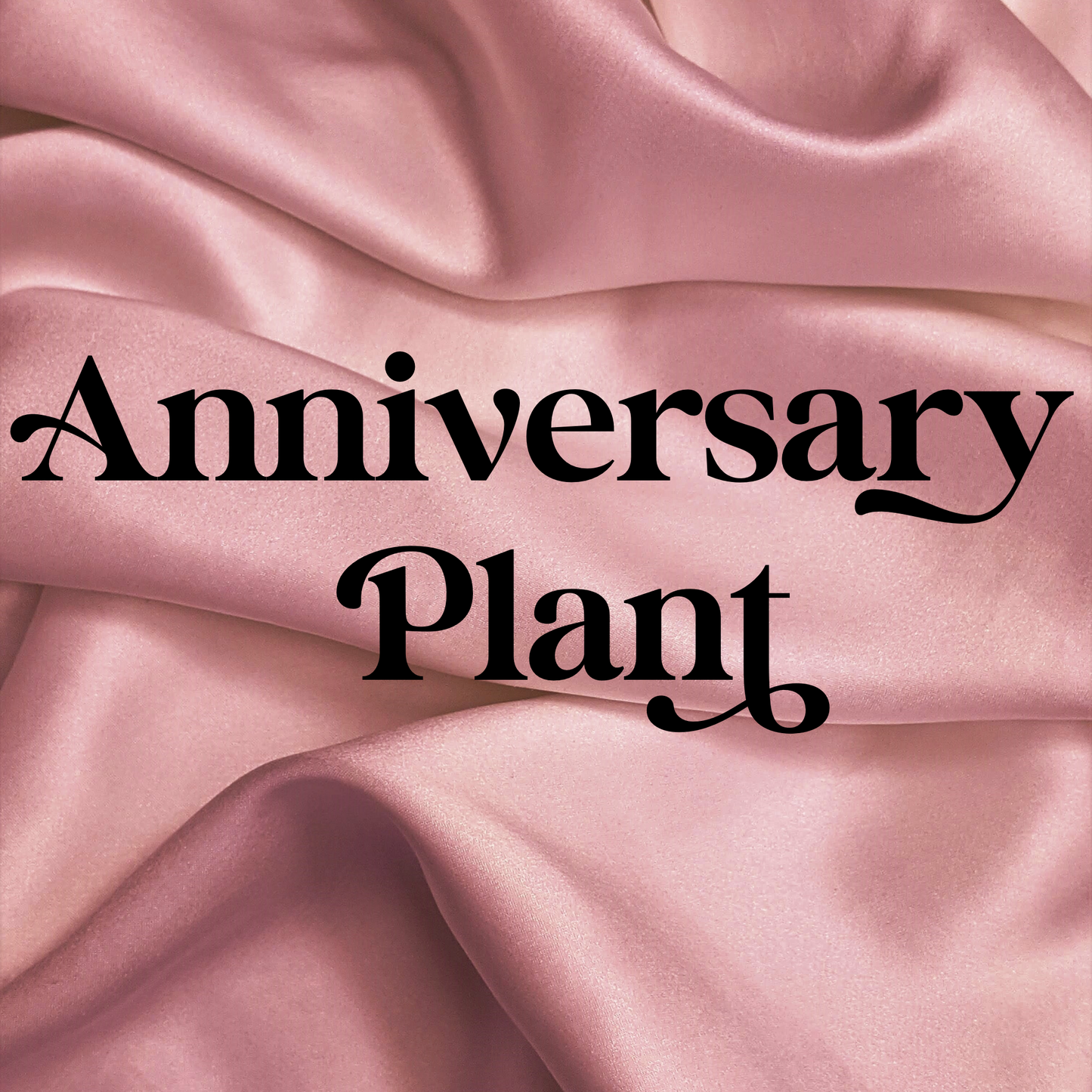 Anniversary Plant