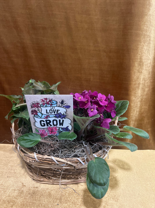 Love Grows