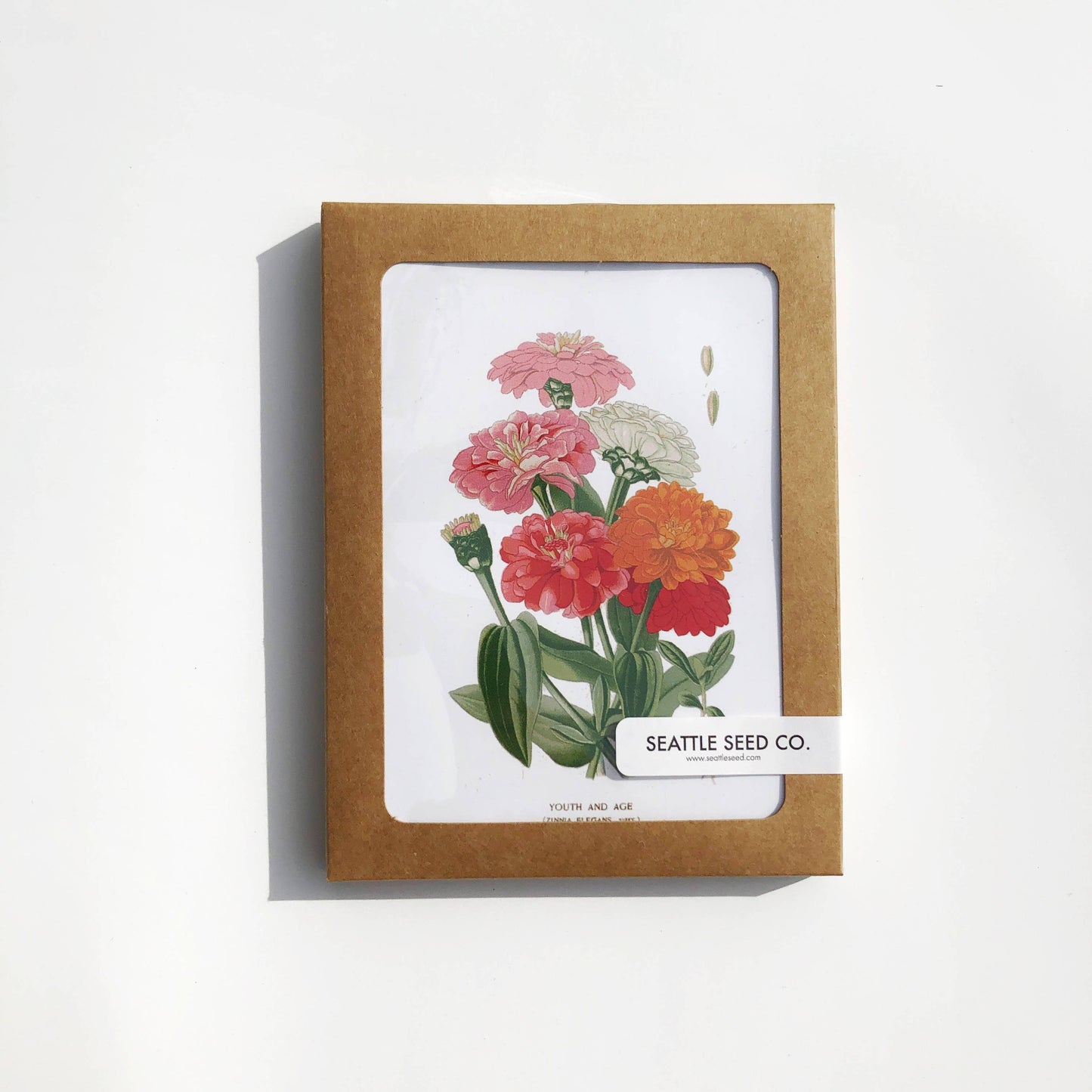 Botanical Greeting Cards Set