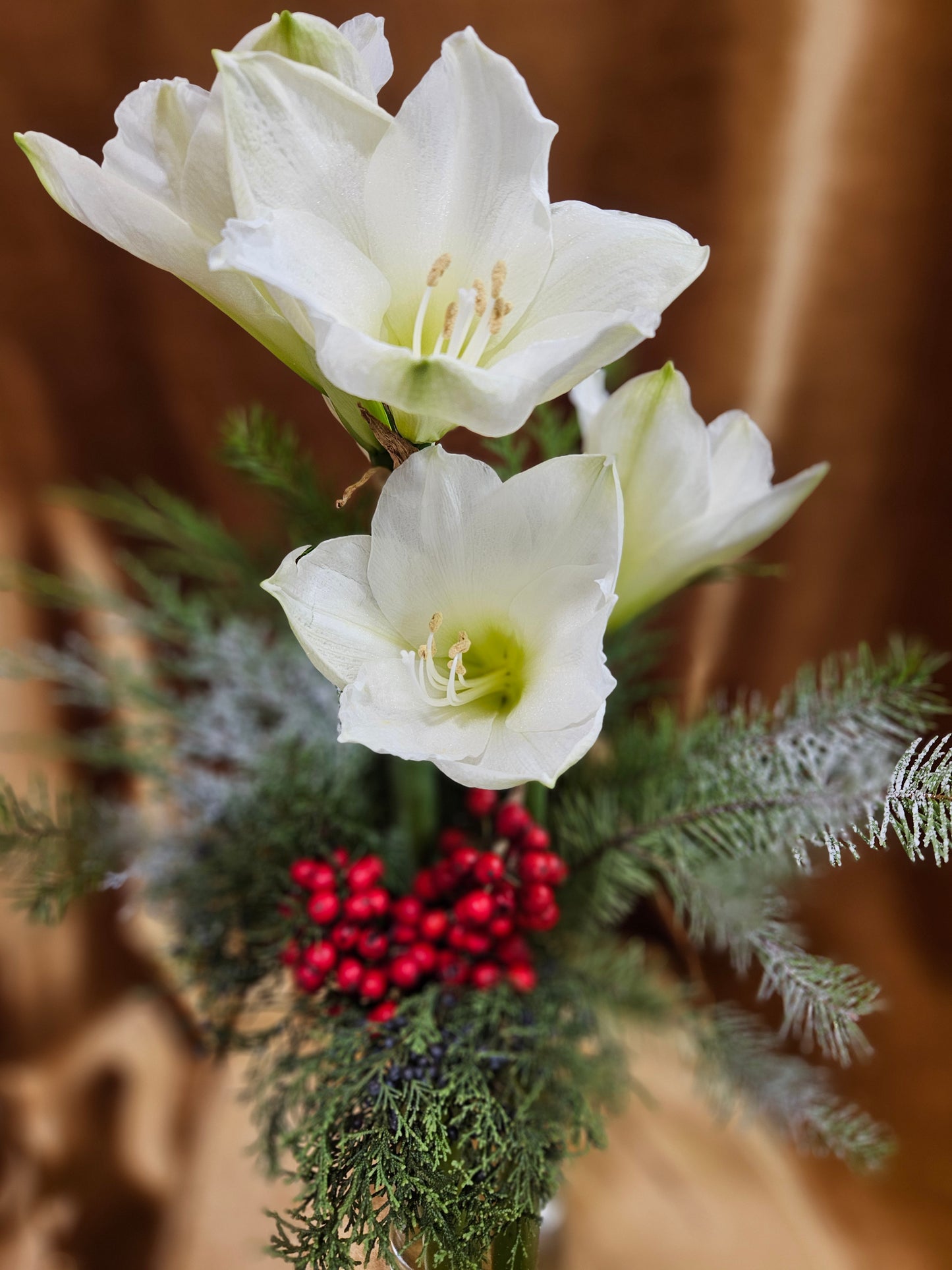 Fresh Amaryllis & Holly Berry Bliss