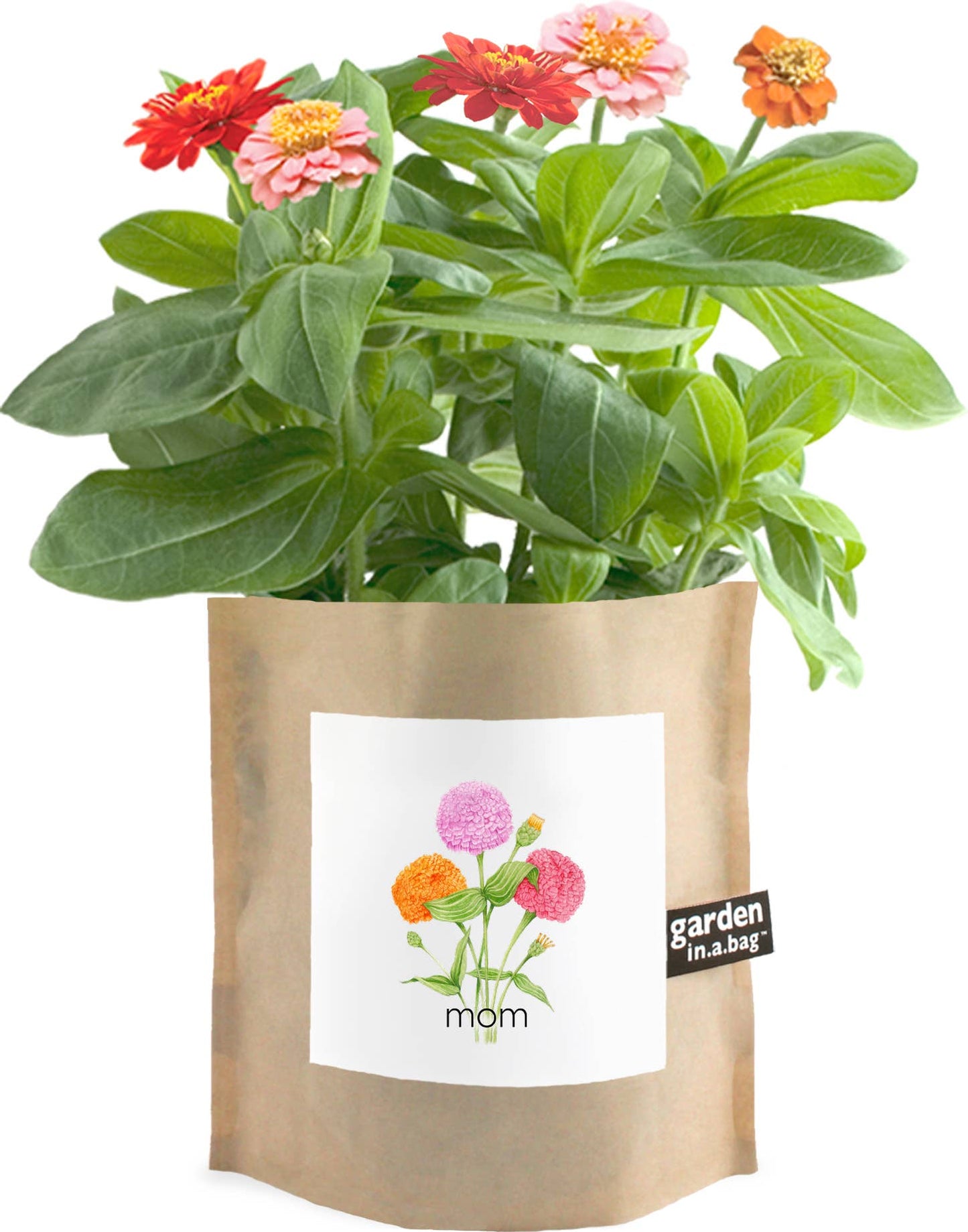 Mom's Garden in a Bag
