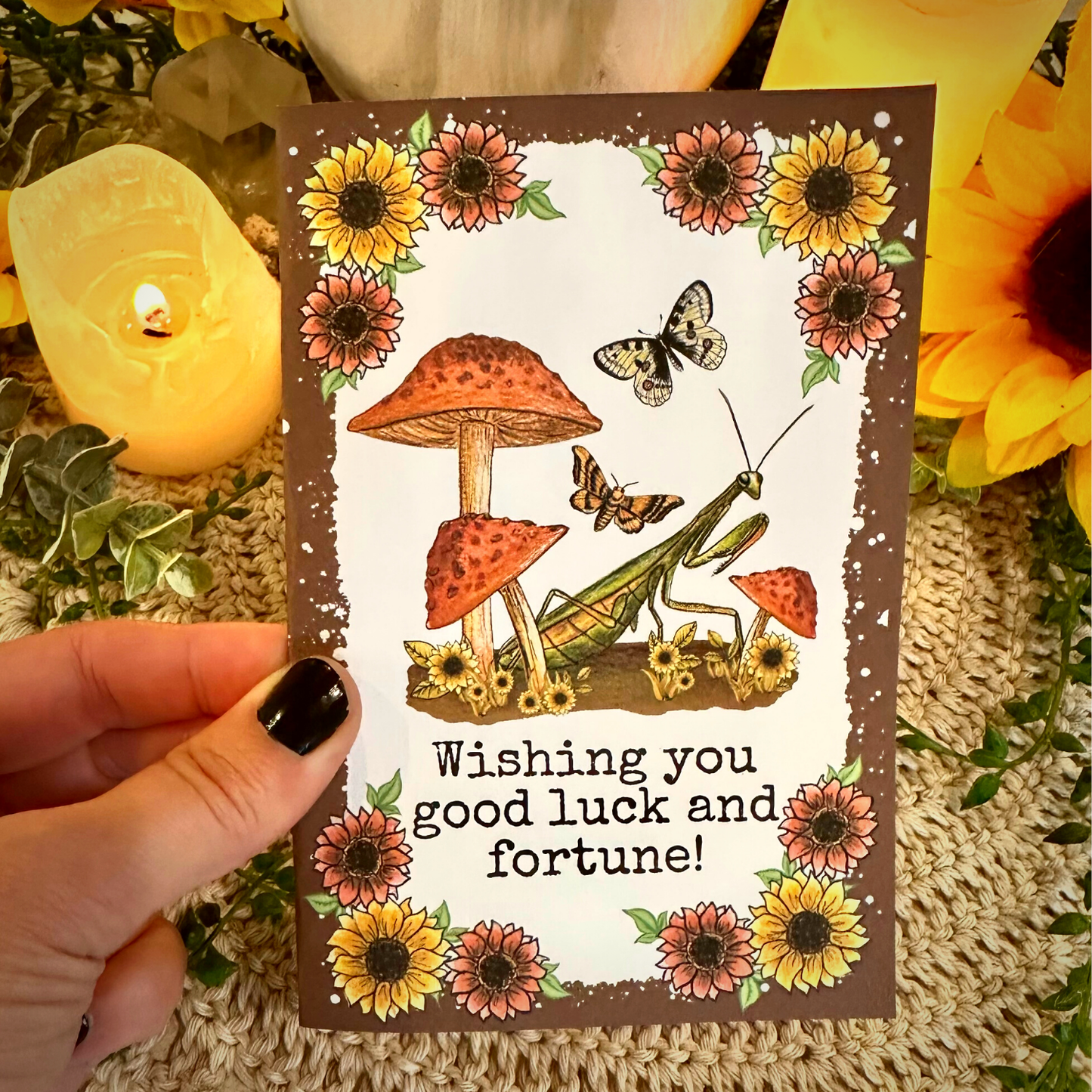 Mantis and Mushroom Card