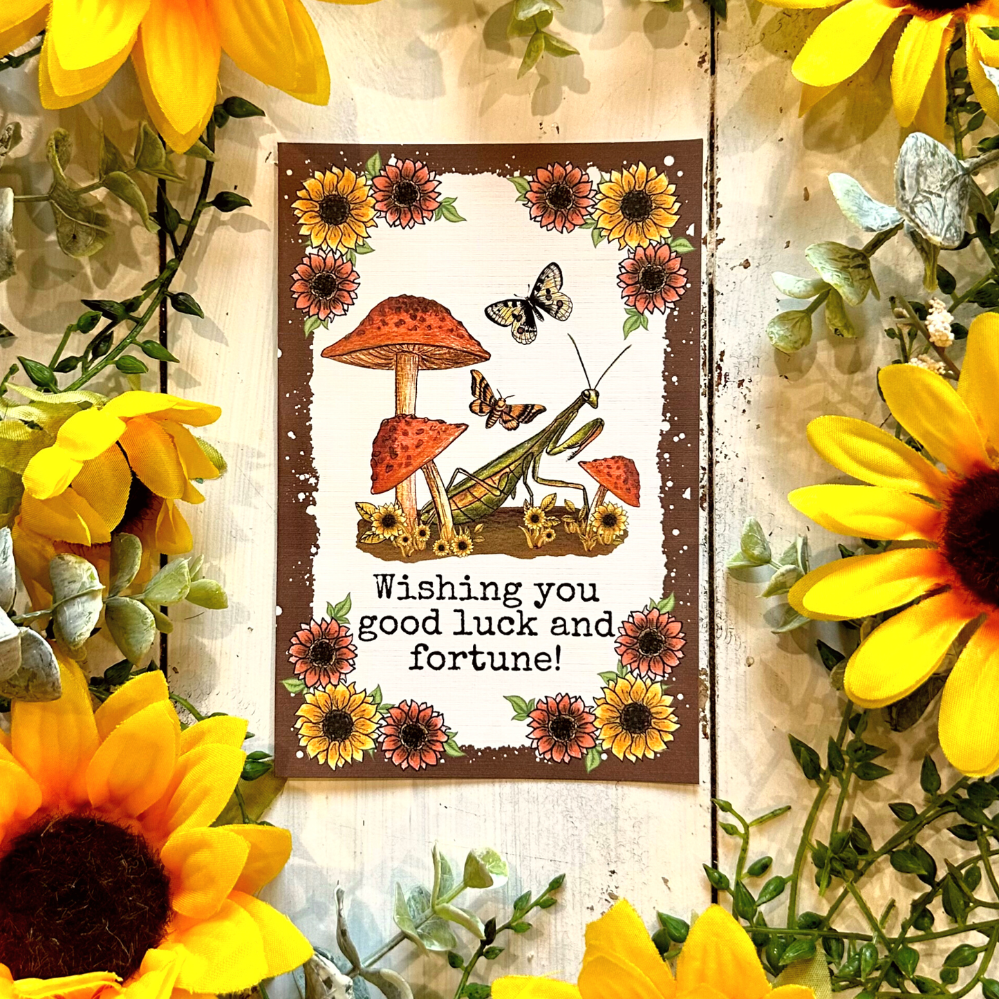 Mantis and Mushroom Card