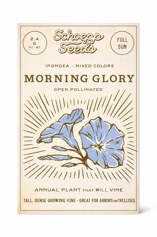 Morning Glory Heirloom Garden Seed Packet