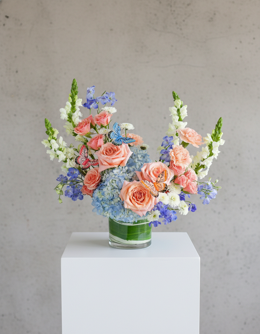 Juliette Butterfly Oasis