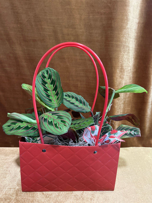 Purse of Prayer Plants