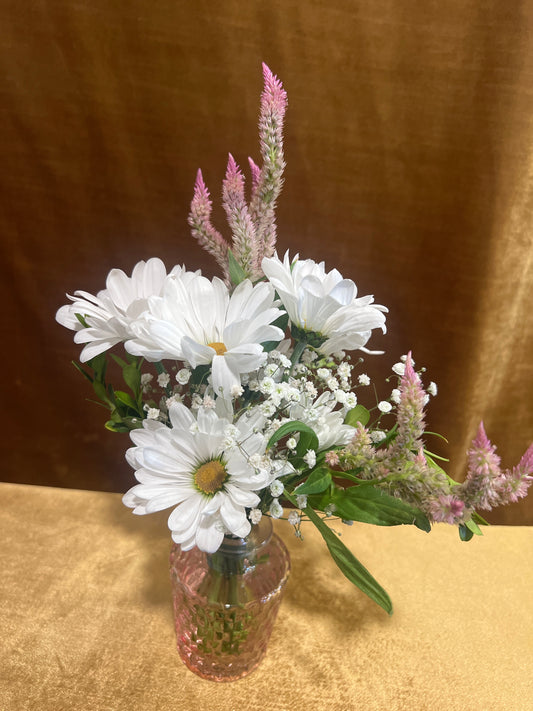 Sweet Daisy