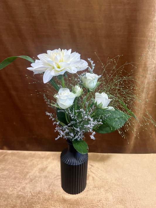 Rosey Dahlia