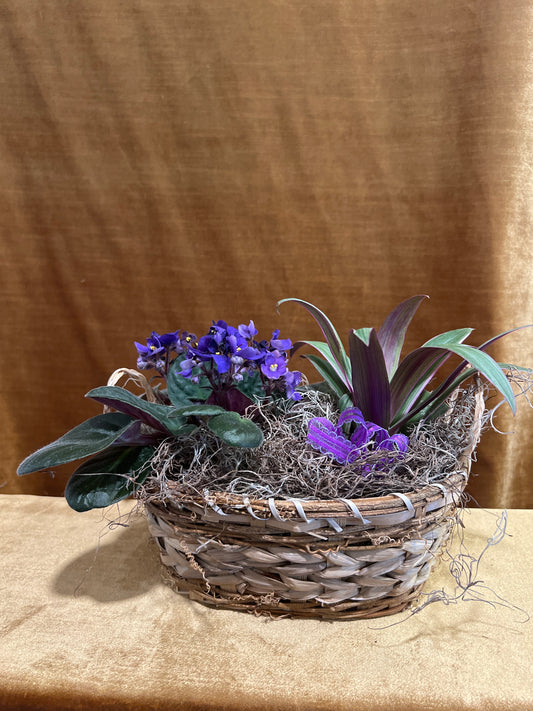 Purple Planter