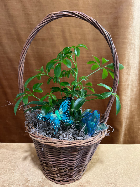 Plant Basket