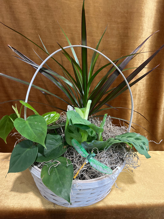 Green Harmony Basket