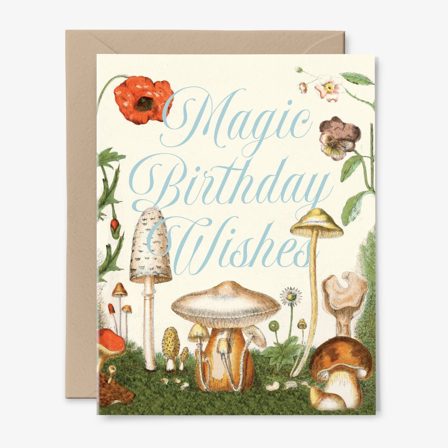 Magic Birthday Wishes Mushroom