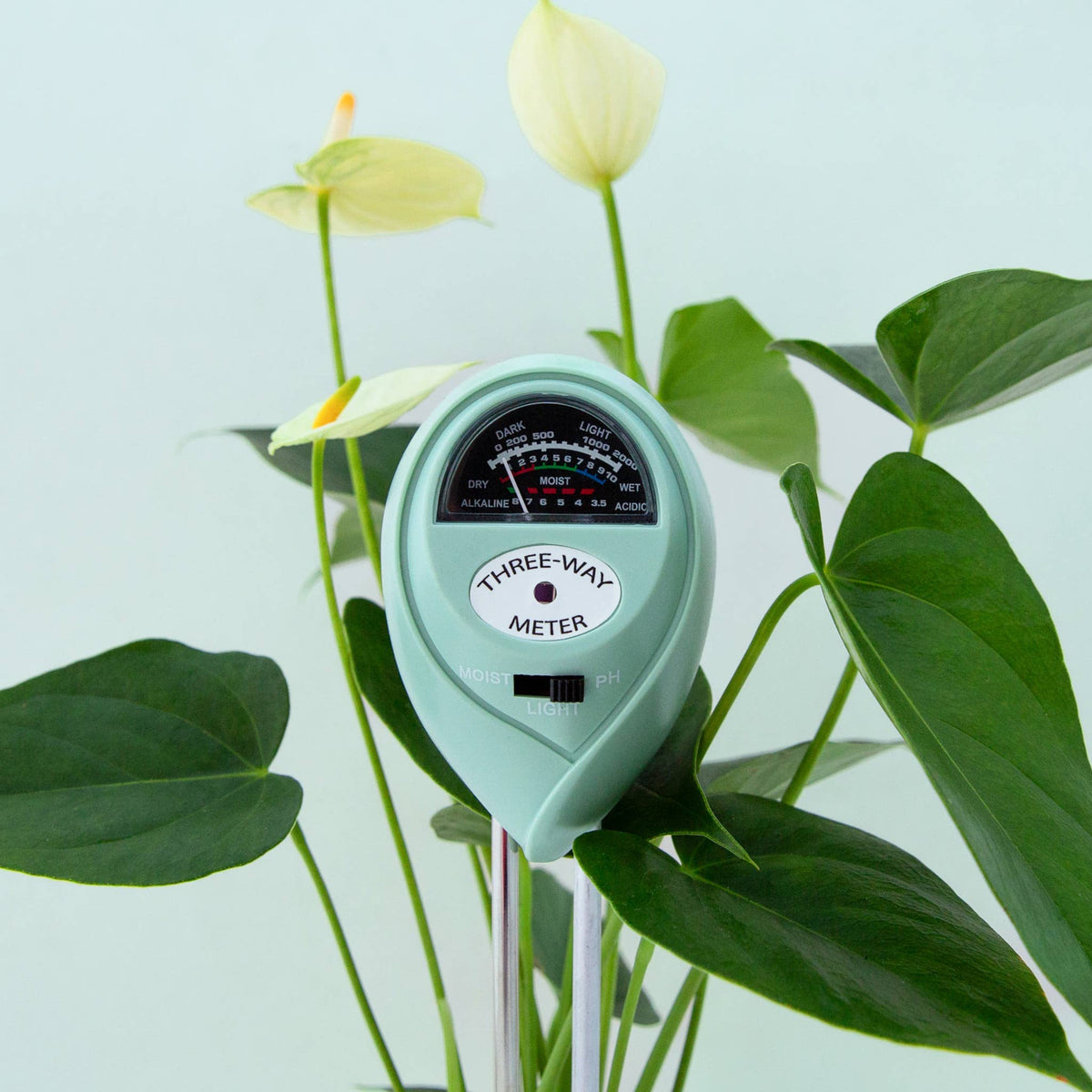 Jungle Club - 3-in-1 Moisture Meter | Lagoon | Garden Party Box