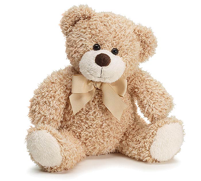 Bailey Bear