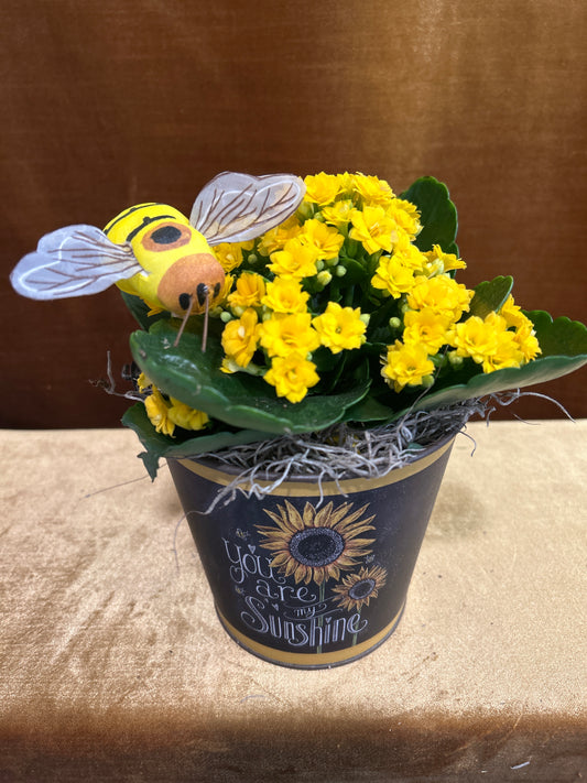 Bee Yellow