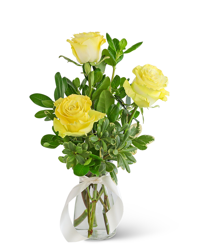 Rose Trio